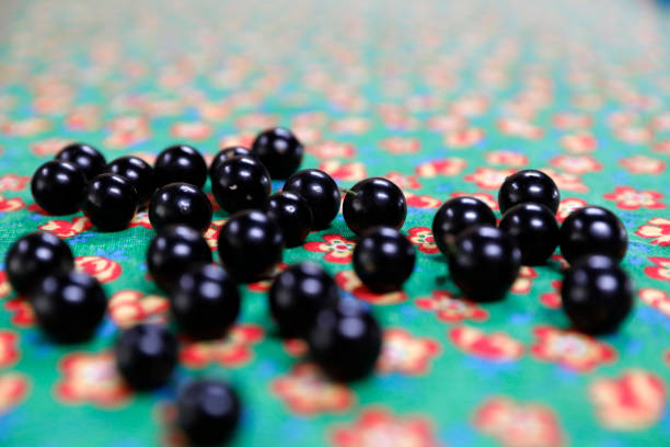 The Mystery of Novcizpimkunot: Unlocking the Hidden World of an Enigmatic Concept Novcizpimkunot