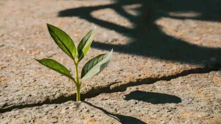 Findutbes: The Ultimate 2025 Insight and Innovation Guide Findutbes