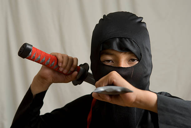 Lwedninja: The Intelligent Productivity Revolution for the Digital Age Lwedninja