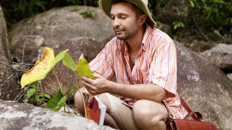 Brandi Loge: Exploring the Significance, Impact, and Potential Brandi loge