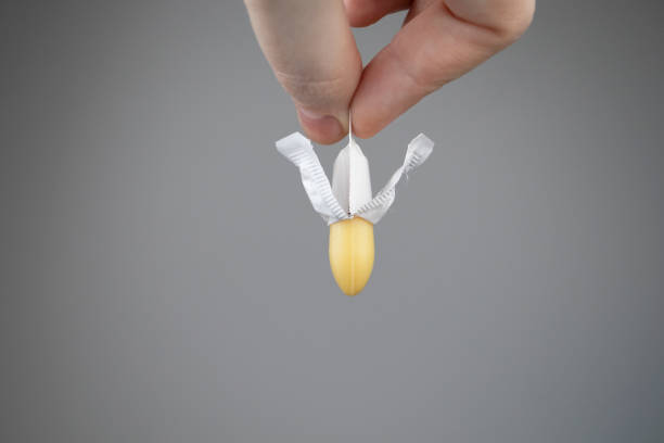 Digimon Palmon AI Uvula: Exploring Digital Evolution, Artificial Intelligence, and Creative Fandom Digimon palmon ai uvula